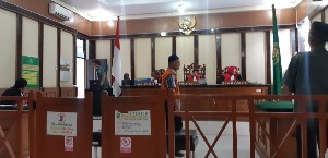 Sidang Perdagangan Sisik Trenggiling, Terdakwa Pernah Dibui 4 Bulan Karena Kasus Serupa